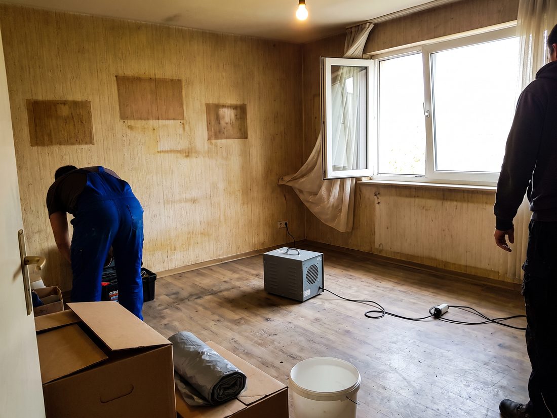 Geruchsentfernung mit Ozongenerator in einer geräumten Messiwohnung in {Stadt}